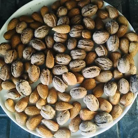 بيت للعطل Vf House غزيلوكاسترون